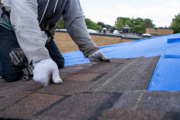 Best Roof Waterproofing Services  in Detroit, MI